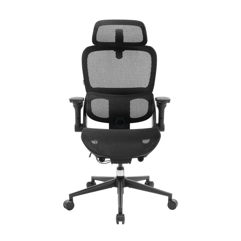 B300 Pro Chaise de bureau ergonomique